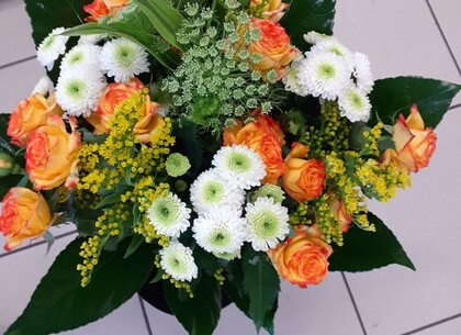 Prodej a aranžování květin Prostějov